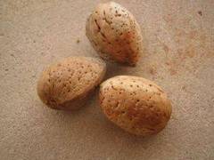 Aceite de al,andras para quitar estrías en la piel