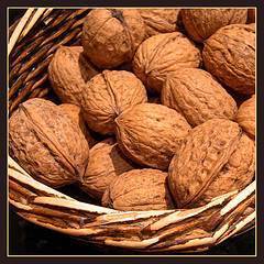 Nueces para engordar