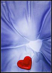 Día de San Valentín