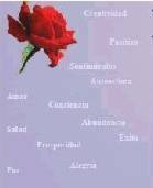 Qué son las emociones