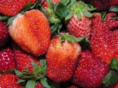 Fresas para mascarilla anti frizz para el cabello erizado